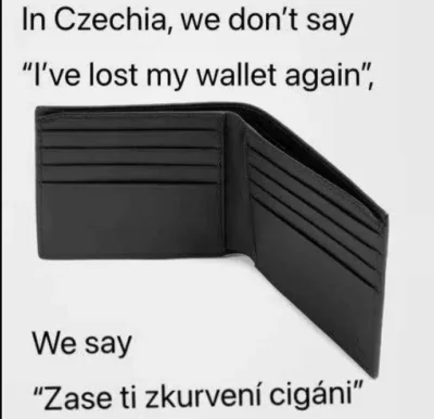 PawulonDlaStarych - #czeskiememy