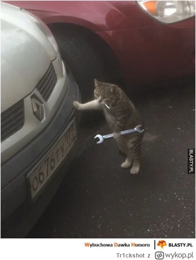 Tr1ckshot - Mechanicy Kicka widząc kolejny manewr Gabriela
#f1