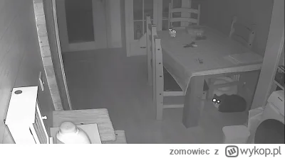 zomowiec - Ziomki patrzcie jaki motyw .   Wyjechałem na wakacje i ustawiłem kamerę na...