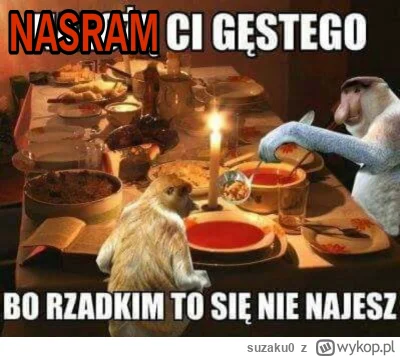 suzaku0 - #konkursnanajbardziejgownianymemznosaczem