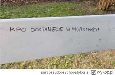 parapseudopsychopatolog