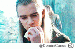 DominiCanes - Witajcie 
Bierzcie po lembasie i zapraszam do posiadówki (ʘ‿ʘ) #wladcap...