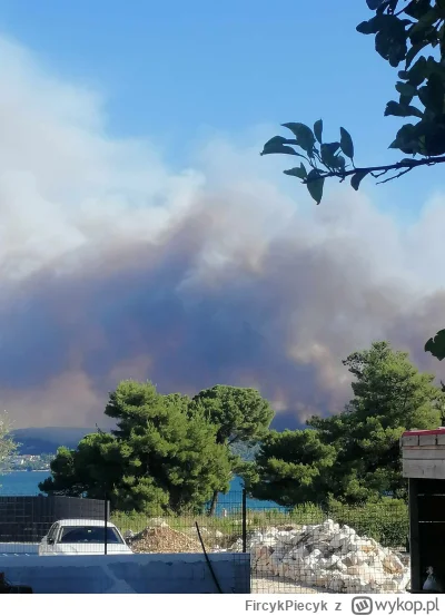 FircykPiecyk - no elo ( ͡º ͜ʖ͡º)