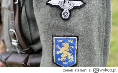 zenek-stefan1 - Sąd Najwyższy Ukrainy uznał, że nazistowski symbol SS-Galizien nie je...