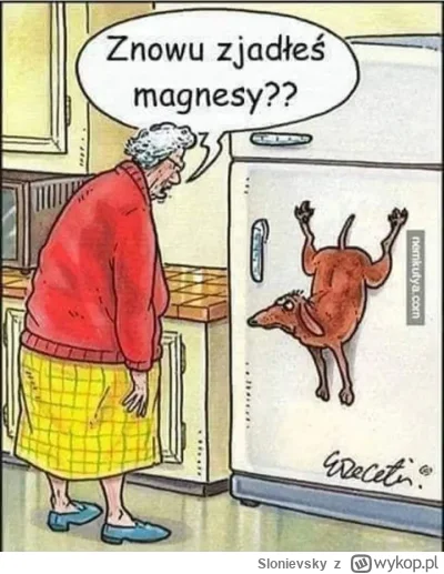 Slonievsky - #humorobrazkowy #grazynacore #k-------e