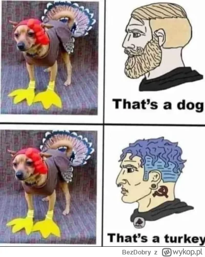 BezDobry - #heheszki #bekazlewactwa #woke #bekazpodludzi #humorobrazkowy