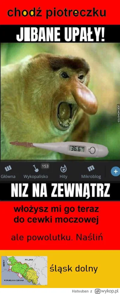 Hatsuban - @czadowykuba:  według mnie najlepsze opus magnum, oczywiście kradzione, a ...