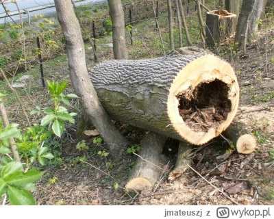 jmateuszj - #mecz 3 MILIONY