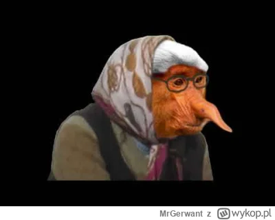 MrGerwant - #konkursnanajbardziejgownianymemznosaczem #wirsprawiedliwosci #gryspraw...