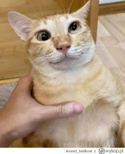 leonidbialkow - @CorvusFrugilagus: a można jak najbardziej