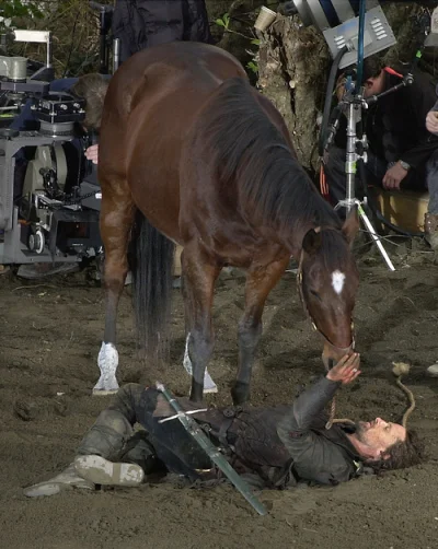 Mega_Smieszek - Moja mama, która jest ze wsi płacze jak jest ten moment jak konik pom...