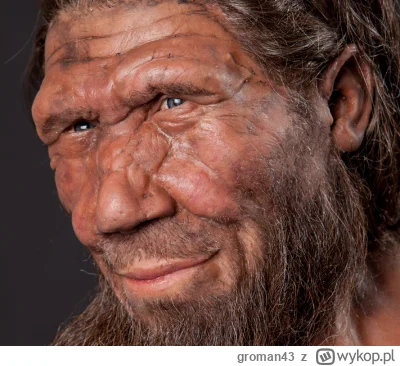 groman43 - Tylko czysta rasowo Europa! Oto prawdziwy pan Europejczyk - neandertalczyk...
