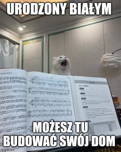 schnippen_schnappen - @wfyokyga: (╭☞σ ͜ʖσ)╭☞