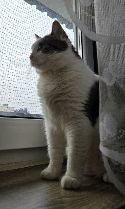 Solsith - @Jestem_Tutaj: nie ja go zamknąłem ale o ratunek to domnie dżem papaje( ͡º ...