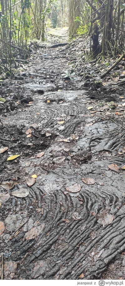 jeanpaul - @Pannoramix, mowisz droga na wylewce bazaltowej, a co powiesz o takiej: