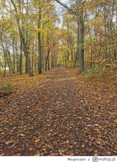 Megasuper - Piękna jesień #szczecin