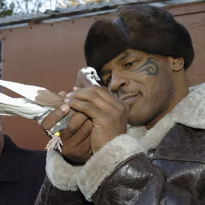 Apu-Apustaja - #przegryw plan na dzień jutrzejszy prawie dzisiejszy jest taki 
- zjeś...