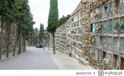 jaozyrys - @WitkacyInz: @Aleale2  cmentarz w Barcelonie: