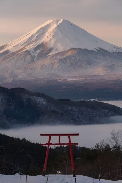 TiniMini_pl - #japonia #fotografia