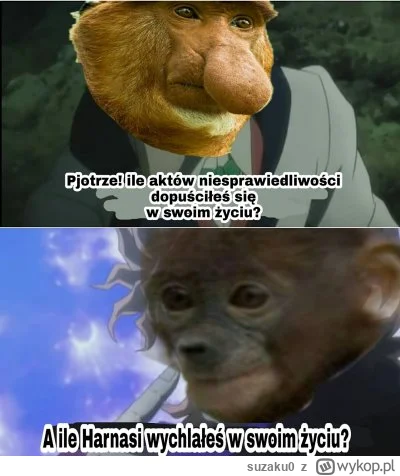 suzaku0 - #konkursnanajbardziejgownianymemznosaczem