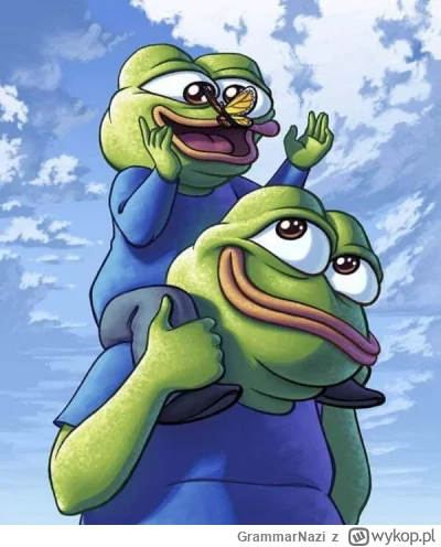 GrammarNazi - Pewnie g---o to Was obchodzi, ale chciałbym się podzielić tym, że dziś,...