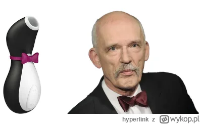 hyperlink - #heheszki #humorobrazkowy #korwin #polityka