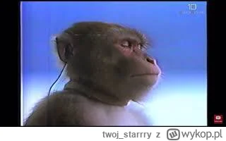 twoj_starrry - @d4wid: