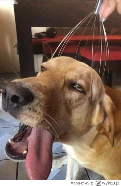 Maniek145 - To ja jak zobaczę zdjęcie Any de Armas