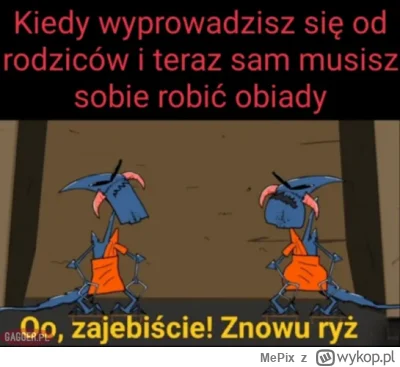 MePix - #humorobrazkowy #memy #heheszki