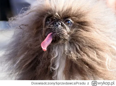 DoswiadczonySprzedawcaPradu - Zostawiam PLUSa "+" pod Twoim wpisem 🤪