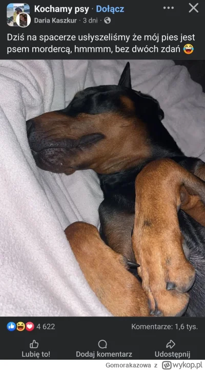 Gomorakazowa - #psy #psiarze