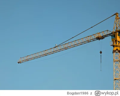 Bogdan1986 - Bocian na żurawiu 
#heheszki #humorobrazkowy