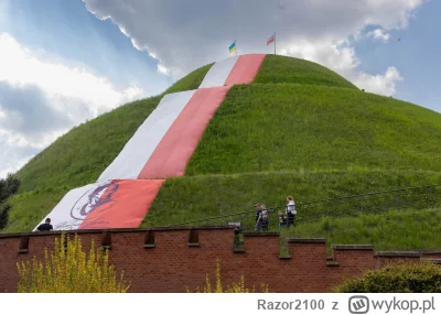 Razor2100 - I ukraińska flaga na kopcu