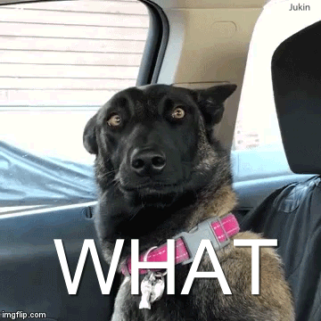 EpicElion - Macie jaką alternatywę (darmową) dla filman.cc?

"Polecane Filmy są dostę...