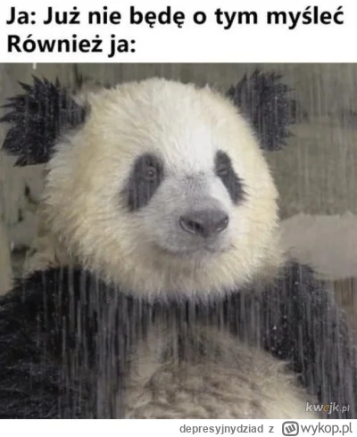 depresyjnydziad - #przegryw #samotnosc