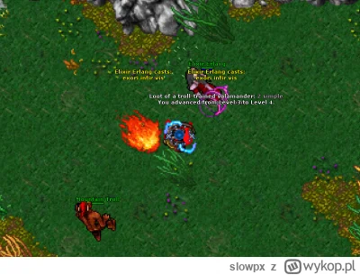 slowpx - #tibia Zaczynam na Securze jak ktoś ma jakiegoś discorda albo chce też zacza...