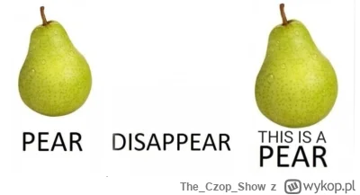 TheCzopShow - @kolorowy_monochrom: