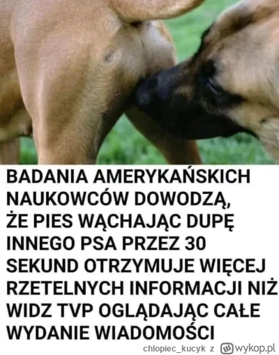 chlopiec_kucyk - #heheszki #humorobrazkowy #rozrywka #bekazpisu #tvpis #zwierzaczki