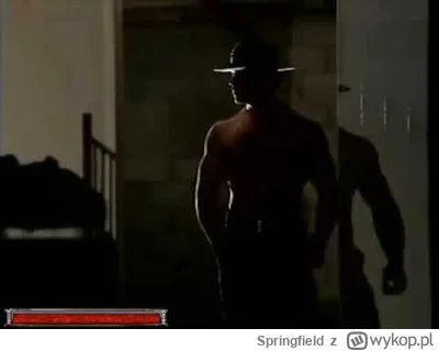 Springfield - #gothic #gry