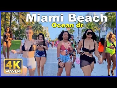enten - @Rinter: Tak misiu, w Miami same szczupłe blondyneczki w bikini i David Hasse...