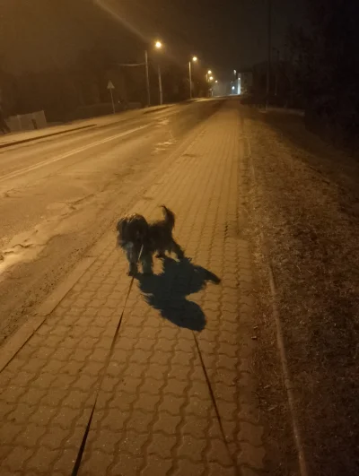 DziecizChoroszczy - Jestem na spacer z pies, jest -8°C, dziękuję i pozdrawiam...