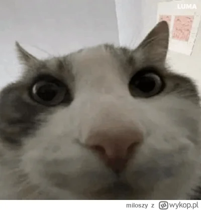 miloszy - Tag #kiszak 
Zaglądasz do środka
@Czeczot02 znowu uciekł z Choroszczy