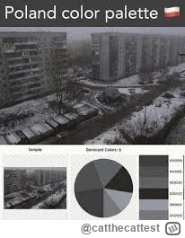 catthecattest - @NieDzwieczny