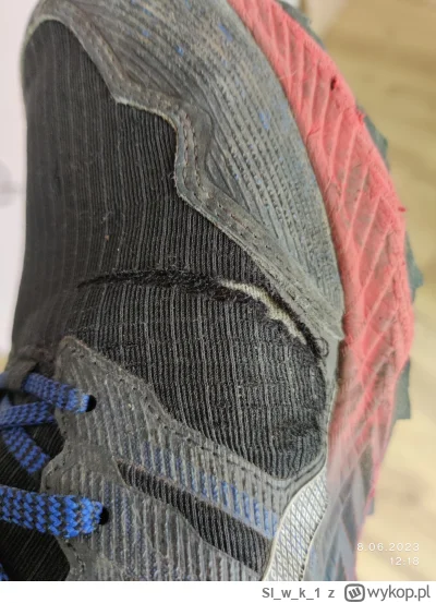 Slwk_1 - Buty z Gore-Tex są dobre tylko w mieście (chyba) bo do lasu się nie nadają (...