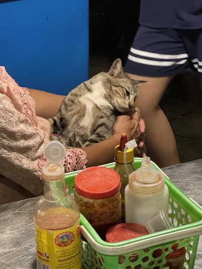 Bitszkopt - Chciałem kupić jedzonko na nocnym markecie ale babuszka ma pełne ręce rob...