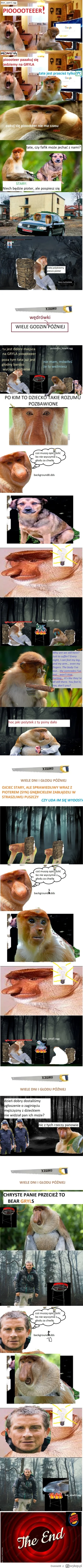 Domis08 - @czadowykuba