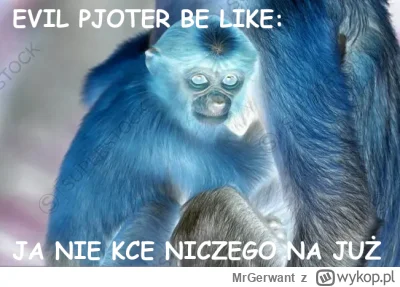 MrGerwant - #konkursnanajbardziejgownianymemznosaczem #pjoturniesprawiedliwiec