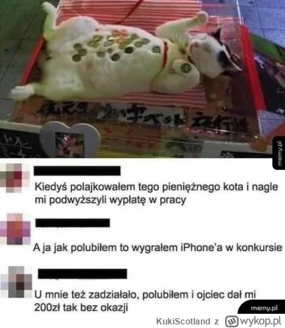 KukiScotland - Zaplusuj kitku w poniedziałek a w tym tygodniu otrzymasz 1000 zł premi...