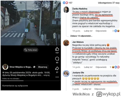 WielkiNos - W Bogatyni chłopiec idący ulicą został zaatakowany przez biegające wolno ...