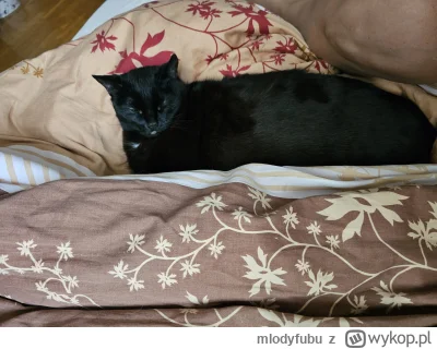 mlodyfubu - @Devillo777